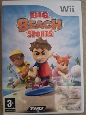 Big Beach Sports Wii
