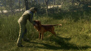 Redeem theHunter: Call of the Wild - Bloodhound (DLC) (PC) Steam Key GLOBAL