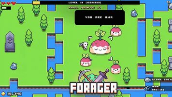 Forager (PC) Steam Key EUROPE