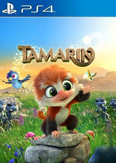

Tamarin (PS4) PSN Key EUROPE