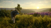 theHunter: Call of the Wild - Cuatro Colinas Game Reserve (DLC) (PC) Steam Key GLOBAL