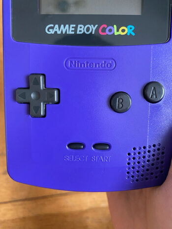 Game boy color su 108 žaidimais ir worm light