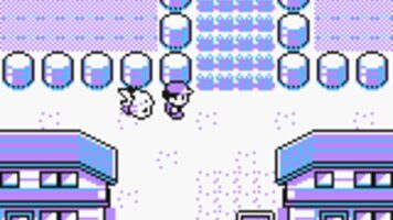 Pokémon Yellow Game Boy Color