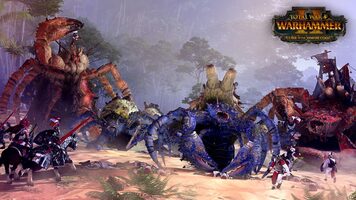 Buy Total War: Warhammer II - Curse of the Vampire Coast (DLC) Steam Key GLOBAL