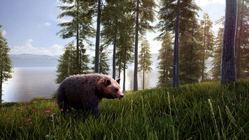 Hunting Simulator 2 Bear Hunter Edition Steam Key GLOBAL