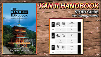 Learn Japanese To Survive! Kanji Combat - Study Guide (DLC) (PC) Steam Key GLOBAL for sale