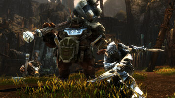 Buy Kingdoms of Amalur: Re-Reckoning FATE Edition Steam Key GLOBAL