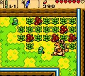 Buy The Legend of Zelda: Oracle of Ages Game Boy Color