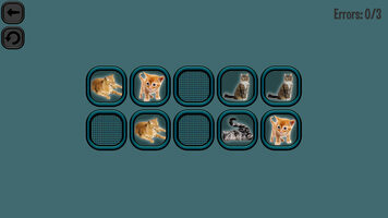 Get Animals Memory: Cats (PC) Steam Key GLOBAL