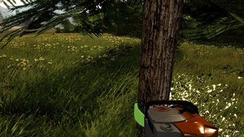 Buy Forestry 2017: The Simulation Steam Key GLOBAL