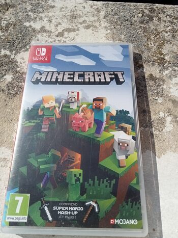 Minecraft Nintendo Switch