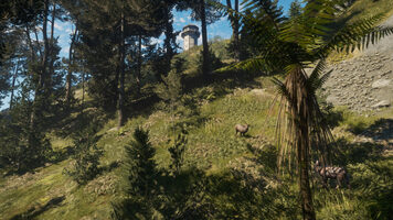 theHunter: Call of the Wild - Te Awaroa National Park (DLC) (PC) Steam Key GLOBAL for sale