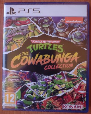 Teenage Mutant Ninja Turtles: The Cowabunga Collection PlayStation 5