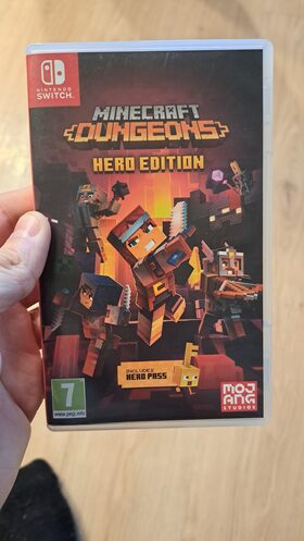 Minecraft: Dungeons Hero Edition Nintendo Switch