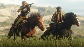 Redeem Red Dead Online - Rockstar Games Launcher Key GLOBAL