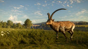 Buy theHunter: Call of the Wild - Cuatro Colinas Game Reserve (DLC) (PC) Steam Key GLOBAL