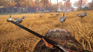 theHunter: Call of the Wild - Wild Goose Chase Gear (DLC) (PC) Steam Key GLOBAL for sale