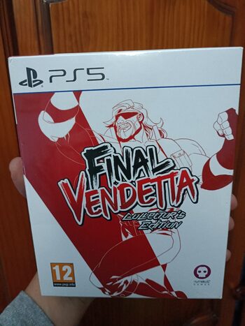 Final Vendetta Collector's Edition PlayStation 5