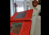 Nintendo DS, Red