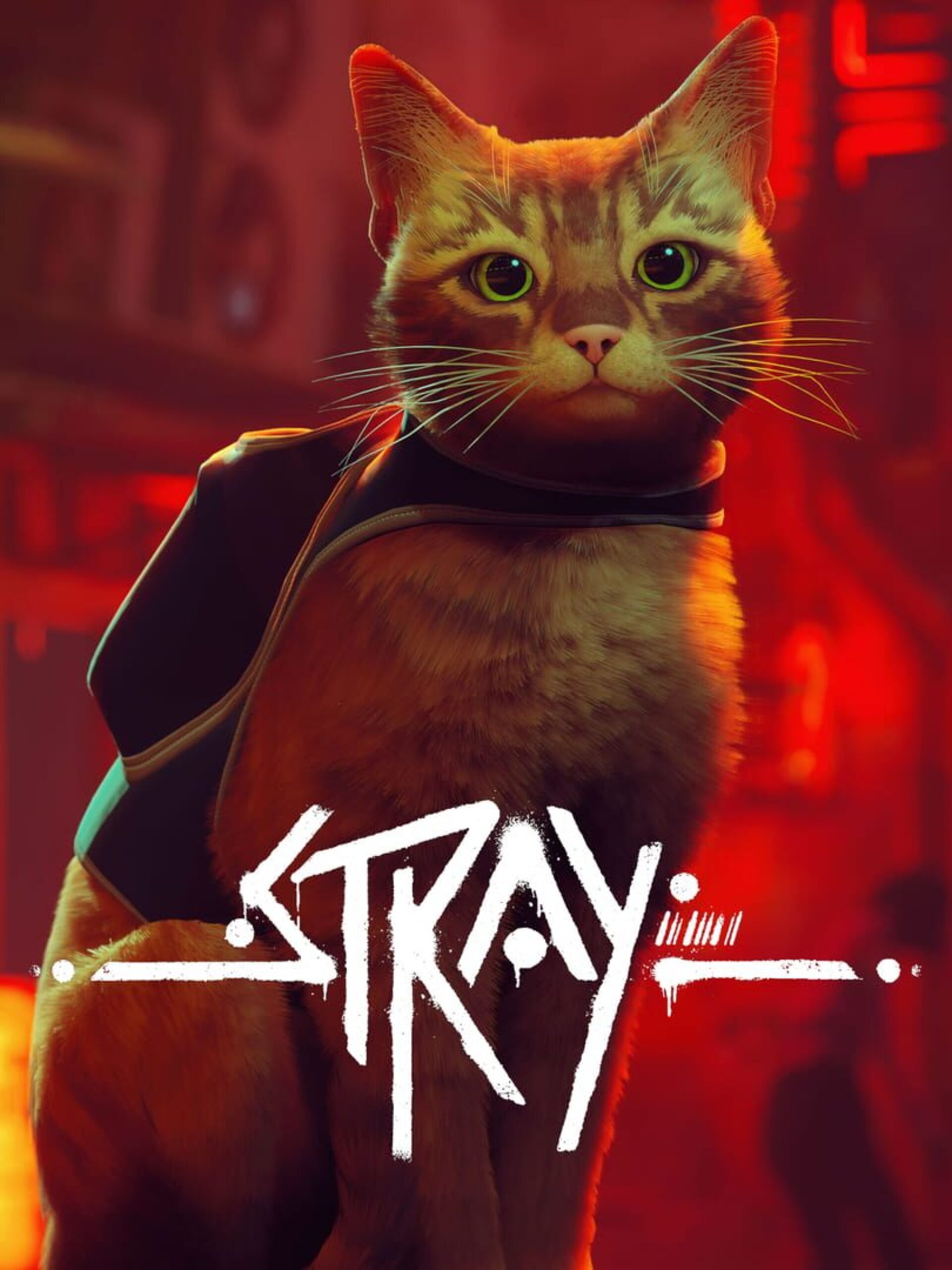 Stray - PlayStation 5 (PS5) - EU Version Region Free