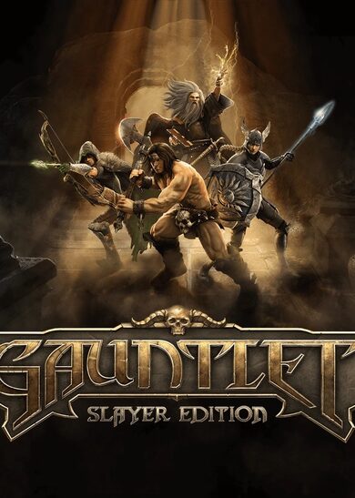 Gauntlet - Slayer Edition (PC) Steam Key EUROPE