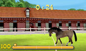 Redeem My Riding Stables 3D - Jumping for the Team Nintendo 3DS