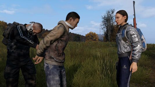 DayZ (PC) CD key for Steam - price from $16.26