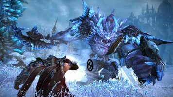 Tera Online Collector's Edition Other Key EUROPE