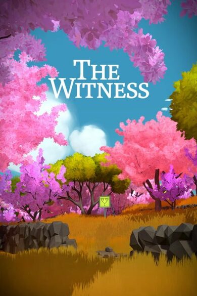 the witness steam