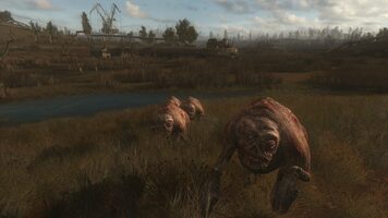 S.T.A.L.K.E.R: Call of Pripyat (PC) Steam Key EUROPE for sale