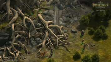 Pathfinder: Kingmaker - Season Pass Bundle (DLC) Steam Key GLOBAL