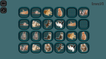 Buy Animals Memory: Cats (PC) Steam Key GLOBAL