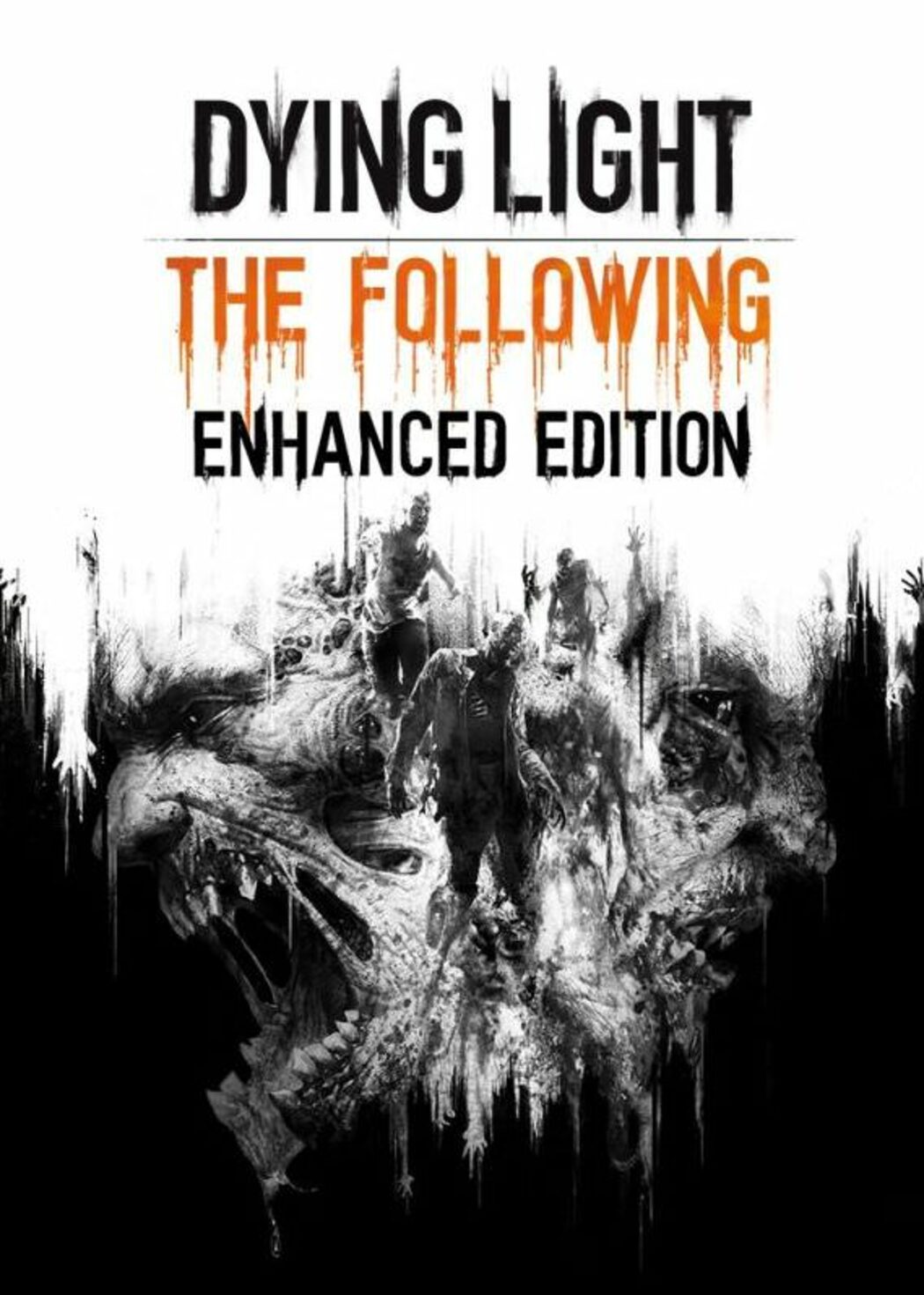 Get Dying Light: The Following