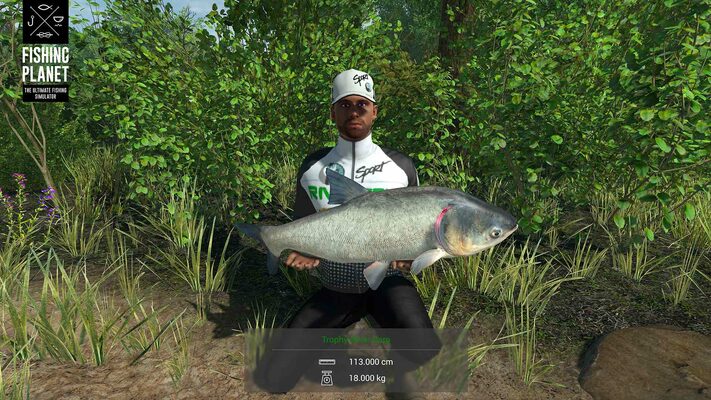 Buy The Fisherman - Fishing Planet PC Steam key! Cheap price | ENEBA