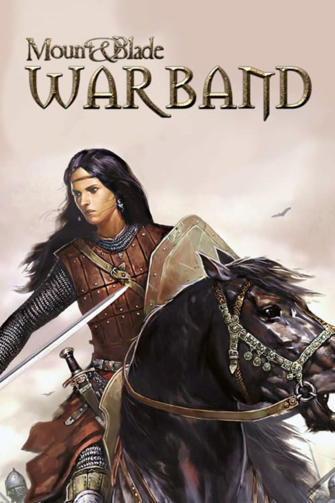 Pre Order Mount And Blade Ii Bannerlord Steam Key Eneba