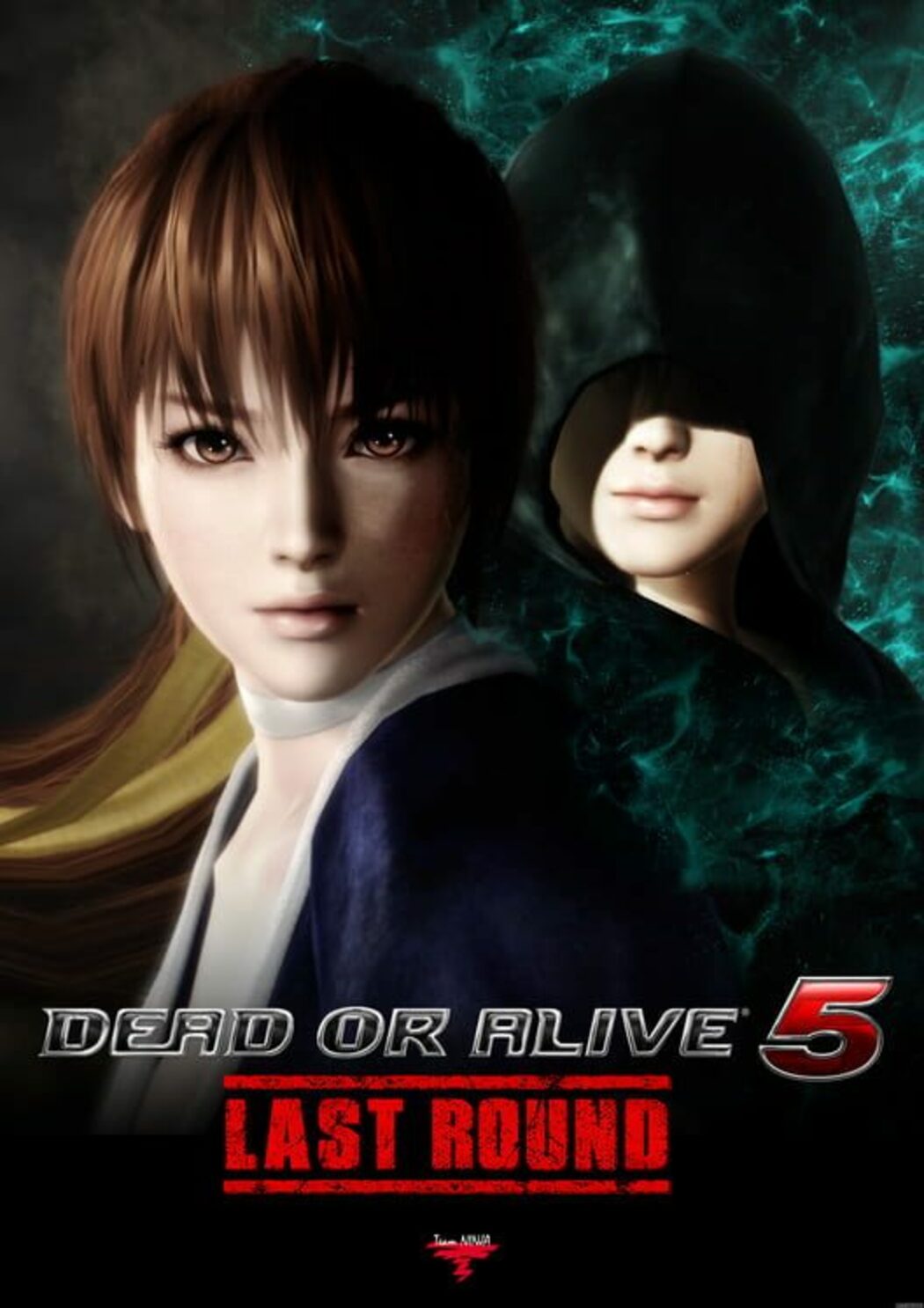 Steam doa5lr