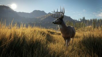 Get theHunter: Call of the Wild (Xbox One) Xbox Live Key UNITED STATES