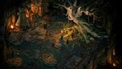 Pillars of Eternity II: Deadfire - Season Pass (DLC) Steam Key GLOBAL