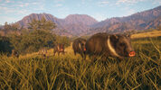 Get theHunter: Call of the Wild - Rancho del Arroyo (DLC) (PC) Steam Key GLOBAL