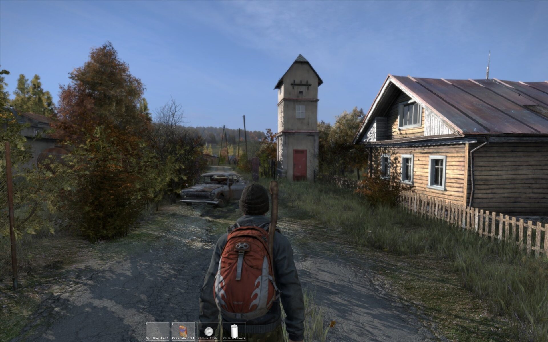 DayZ (PC) Steam Key - JAMA LEVOVA