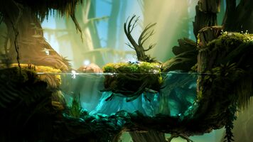 Redeem Ori and the Blind Forest Steam Key GLOBAL