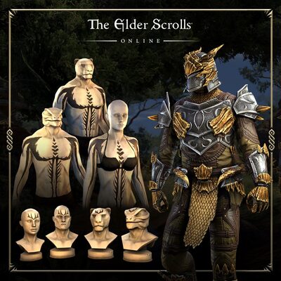 E-shop The Elder Scrolls Online: Ancient Dragon Hunter Armor Pack (DLC) XBOX LIVE Key GLOBAL
