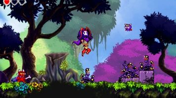 Shantae and the Pirate's Curse Steam Key GLOBAL