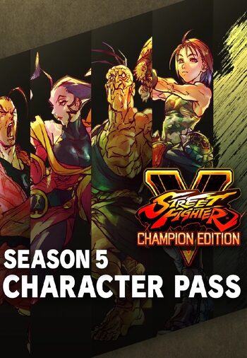 Street Fighter V 5 CHAMPION EDITION PC Steam Key FAST DELIVERY