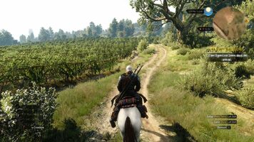 Buy The Witcher 3: Hearts of Stone (DLC) GOG.com Key GLOBAL