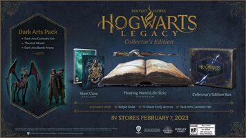 Hogwarts Legacy Collector's Edition PlayStation 5