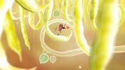 Botanicula Collector's Edition Steam Key GLOBAL for sale