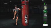 Buy UFC Personal Trainer: The Ultimate Fitness System Wii