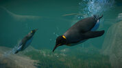 Buy Planet Zoo: Aquatic Pack (DLC) Steam Key GLOBAL