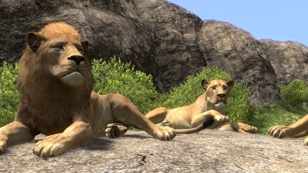 Zoo Tycoon 3: Asiatic Lion 